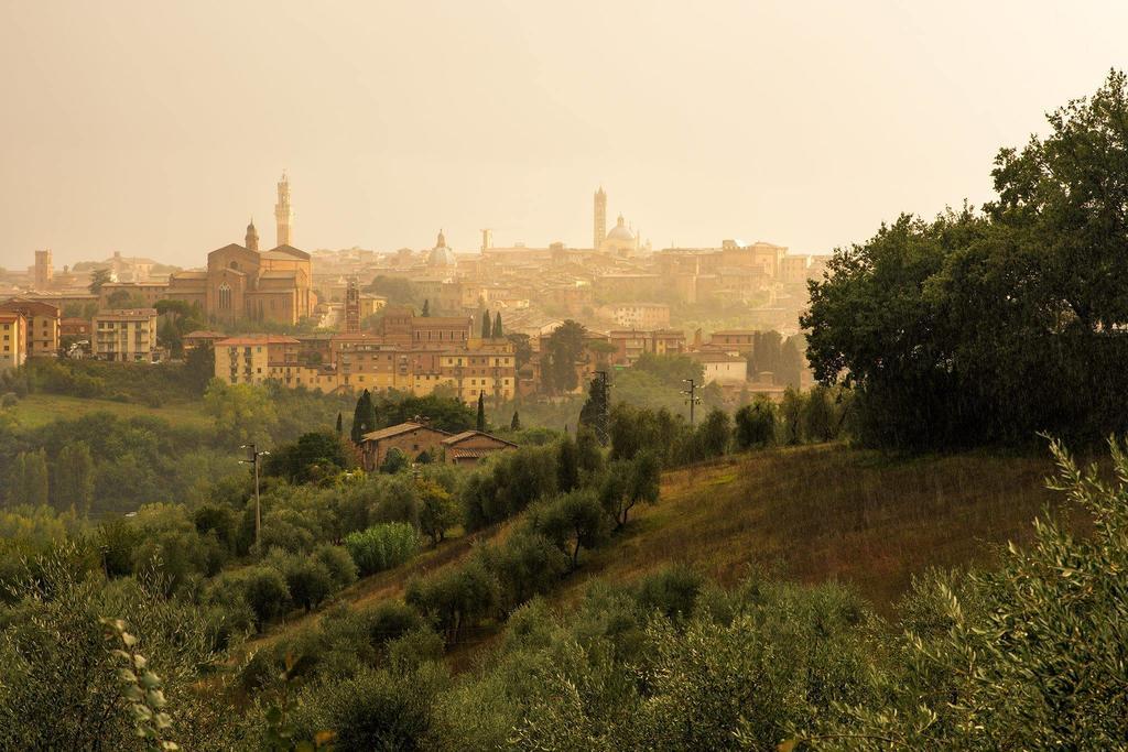 Agriturismo Colombino Siena Exteriör bild