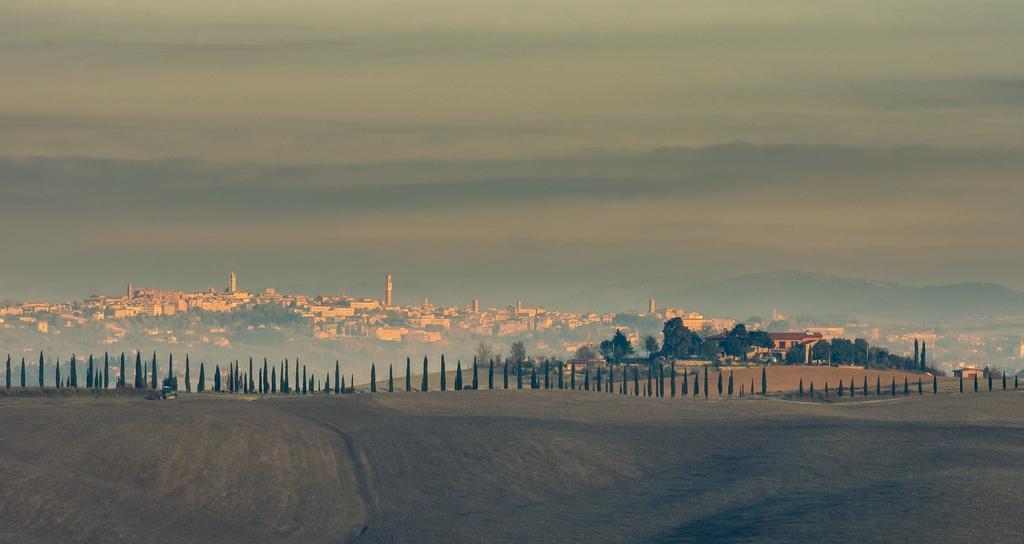 Agriturismo Colombino Siena Exteriör bild